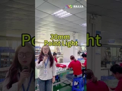 Éclairage de paysage à LED à pleine couleur Smd5050 IP67 24v Pour l'éclairage des vacances
